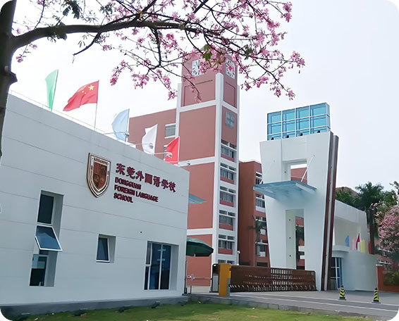 东莞市外国语学校项目案例